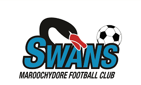 team logo