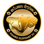 Young Elephant Team Logo