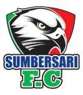 Sumbersari FC