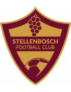 Stellenbosch FC Reserves Team Logo