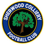 Sherwood Colliery Team Logo