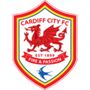 Cardiff City U18 Team Logo