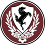 Arezzo Team Logo