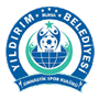Bursa Yildirimspor Team Logo