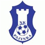 Pazinka Team Logo