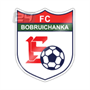 Bobruichanka Team Logo