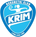 team logo