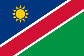 Namibia Team Logo