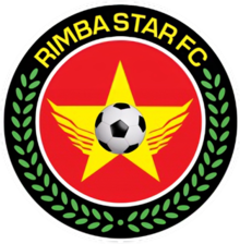 team logo