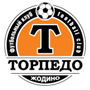 Torpedo Zhodino Reserve