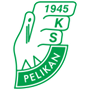 Pelikan Lowicz Team Logo