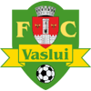 CSSM Vaslui Team Logo