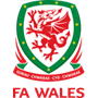 Wales U21