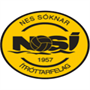 NSI Runavik