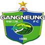 Gangneung City Team Logo