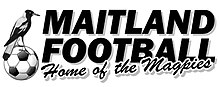 Maitland FC Reserves Team Logo
