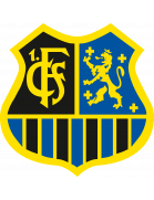 Saarbrucken U19 Team Logo