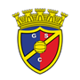 Gondomar Team Logo