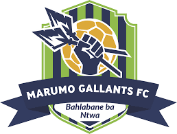 Marumo Gallants U23 Team Logo