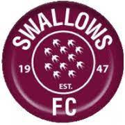 Swallows Reserves Team Logo