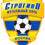 team logo