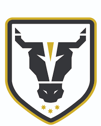 Northbridge Bulls Team Logo