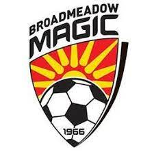 Broadmeadow Magic (w) Team Logo