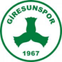 Giresunspor U19 Team Logo