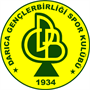 Darica Genclerbirligi Team Logo