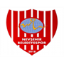 Nevsehir Belediyespor Team Logo