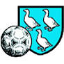 FC Echichens