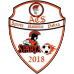 team logo