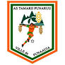Punaruu Team Logo