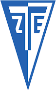 ZTE U19 Team Logo