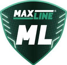 Maxline Rogachev Team Logo