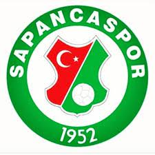 Sapanca Genclikspor Team Logo
