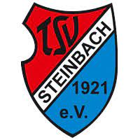 TSV Steinbach II Team Logo