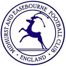 Midhurst &amp; Easebourne Team Logo