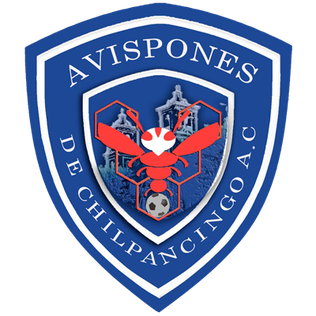  CD Avispones de Chilpancingo