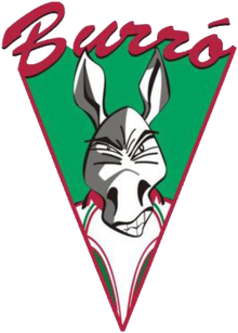 team logo