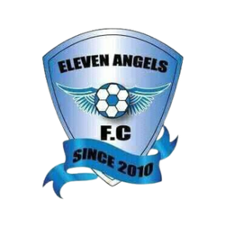 team logo