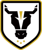 Bulls FC Academy U20 Team Logo