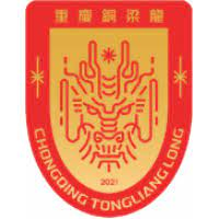 Chongqing Tongliang Long FC Team Logo