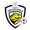 team logo