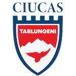 Ciucas Tarlungeni Team Logo