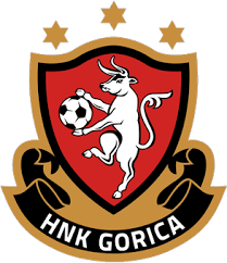 ZNK Gorica Team Logo