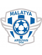 Malatya Arguvanspor Team Logo