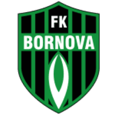 Bornova 1877 Team Logo