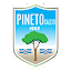 Pineto U19 Team Logo