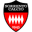 Sorrento Calcio U19 Team Logo